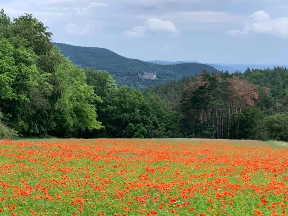 Bungalow Schwarzatalblick In Bad Blankenburg Ortsteil Boehlscheiben Buitenkant foto