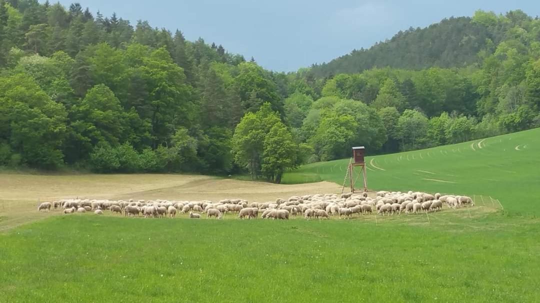 Bungalow Schwarzatalblick In Bad Blankenburg Ortsteil Boehlscheiben Buitenkant foto