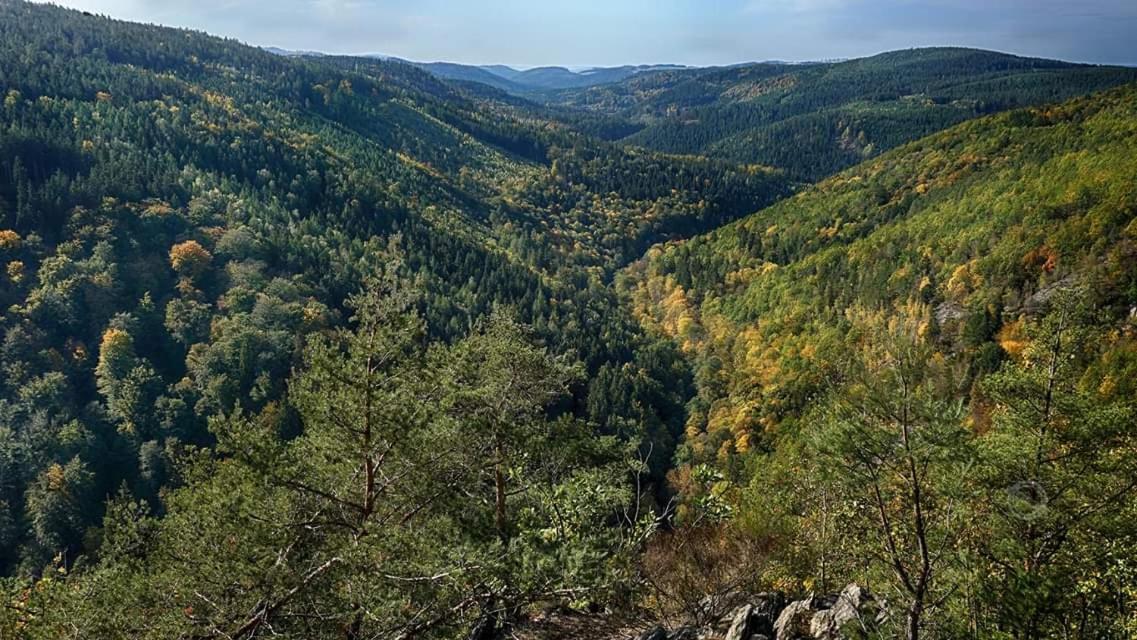 Bungalow Schwarzatalblick In Bad Blankenburg Ortsteil Boehlscheiben Buitenkant foto